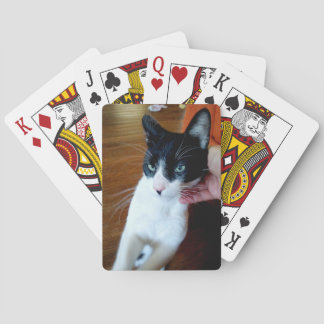 Baraja De Cartas Nero el gato