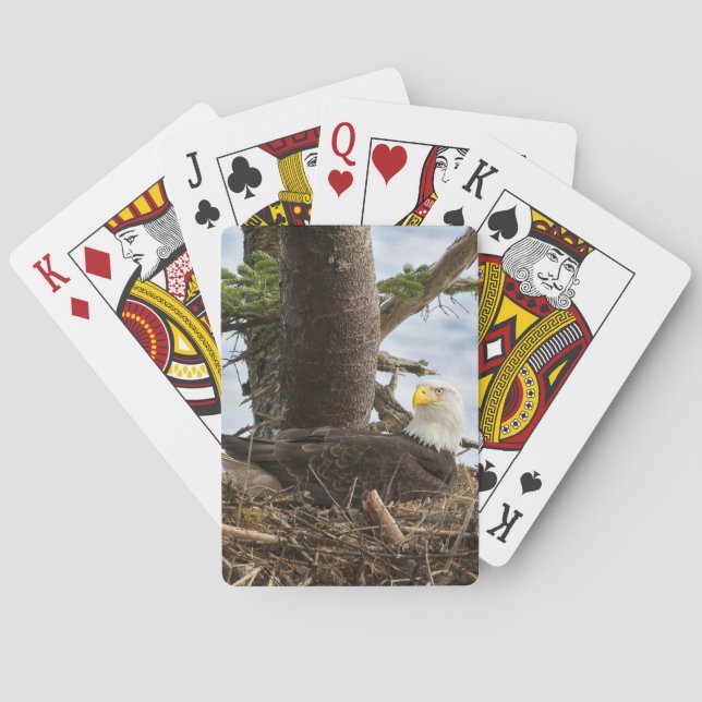 Baraja De Cartas Nesting Bald Eagle (Reverso)