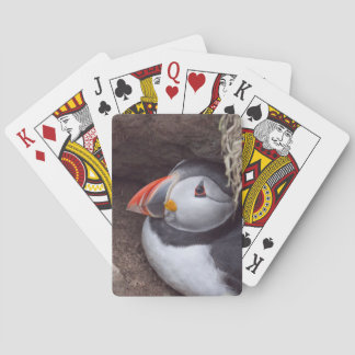 Baraja De Cartas Nesting Puffin