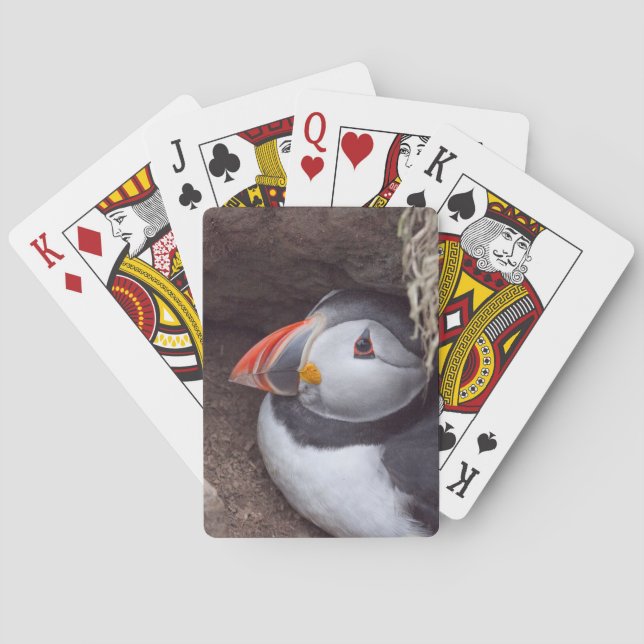 Baraja De Cartas Nesting Puffin (Reverso)