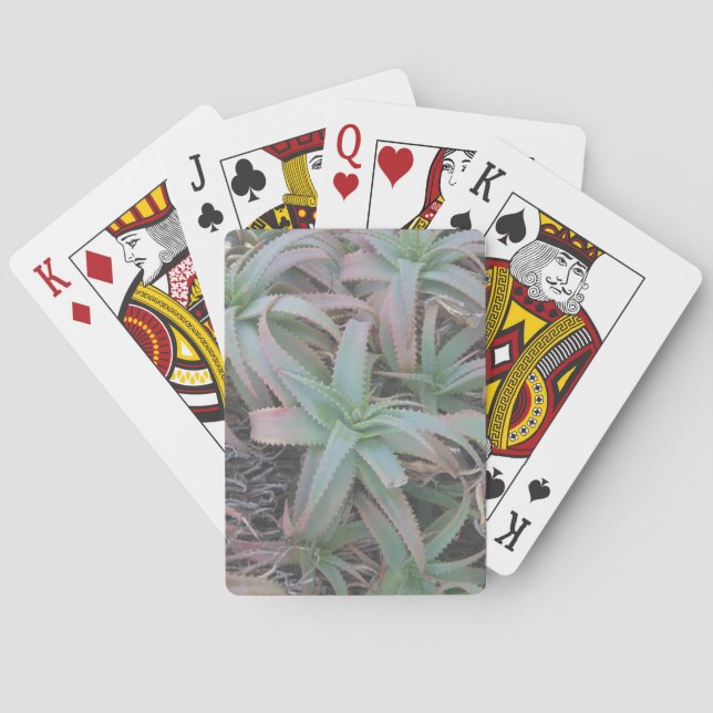 Baraja De Cartas Nevada succulantes (Reverso)
