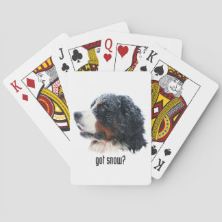 Baraja De Cartas ¿nieve conseguida? Perro de montaña de Bernese