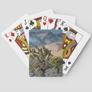 Baraja De Cartas Nieve en el Valle de la Muerte