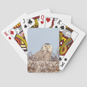 Baraja De Cartas Nieves en la playa