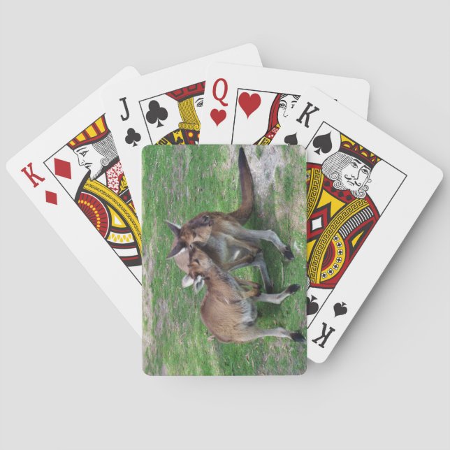 Baraja De Cartas No es ahora Skippy (Reverso)