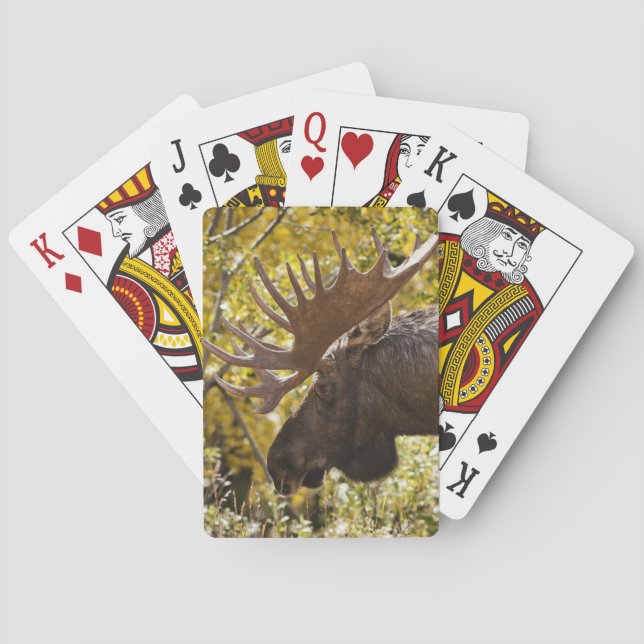 Baraja De Cartas Noble Bull Moose (Reverso)