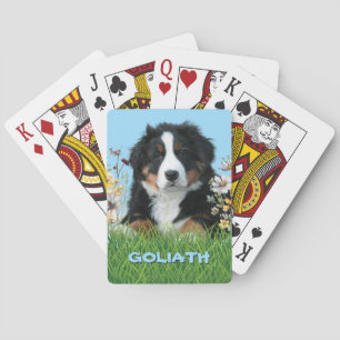 Baraja De Cartas Nombre del Perro de Montaña de Berna