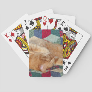 Baraja De Cartas Nomenclatura de gatos