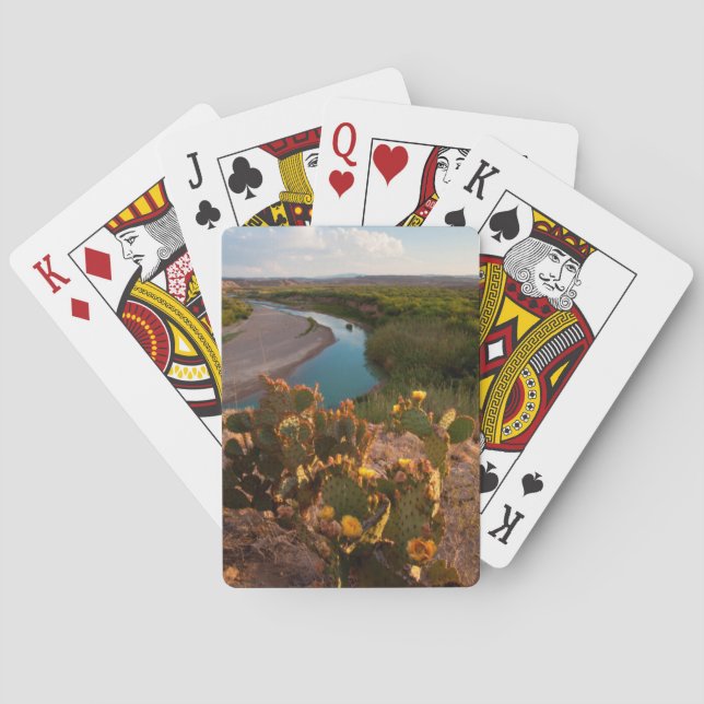Baraja De Cartas Nopal (Opuntia Sp.) (Reverso)