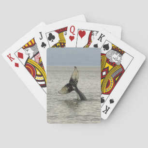 Baraja De Cartas Norteamérica, EE. UU., AK, Paso Interior. Jorobada