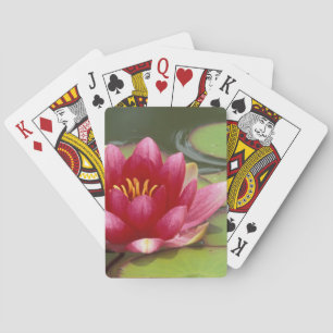 Baraja De Cartas Norteamérica, EE.UU., WA, Seattle, Woodland Park 2