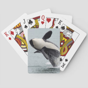 Baraja De Cartas Norteamérica, EE. UU., Washington, San Juan