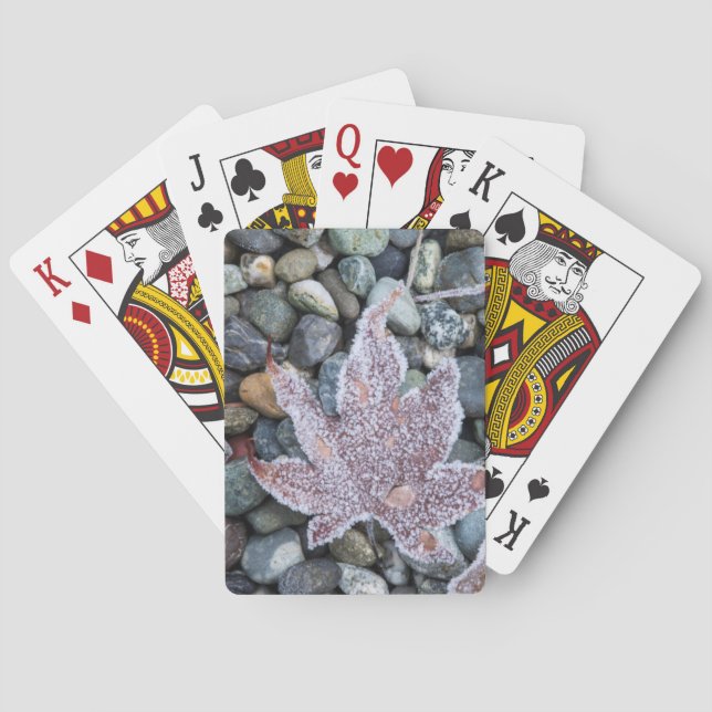 Baraja De Cartas Nosotros, Wa, Isla Bainbridge. Temprano por la mañ (Reverso)