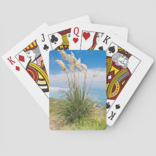 Baraja De Cartas Nueva Zelanda, Isla Norte, Cabo Reinga