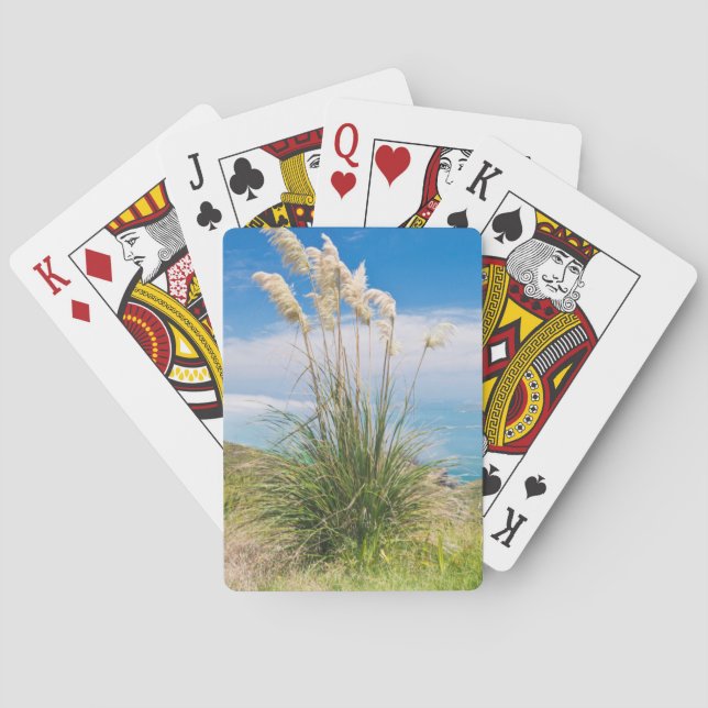 Baraja De Cartas Nueva Zelanda, Isla Norte, Cabo Reinga (Reverso)