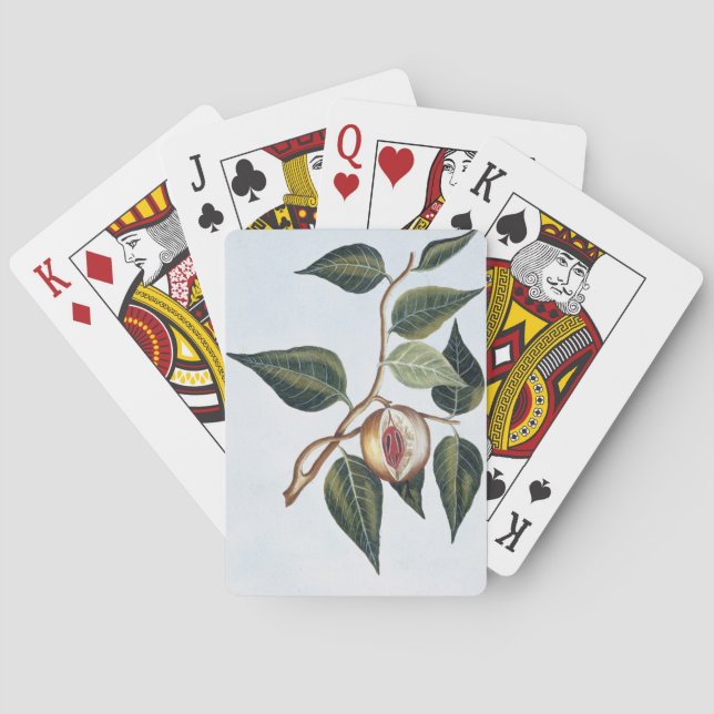 Baraja De Cartas Nuez moscada moscada, placa 7, de la 'colección (Reverso)