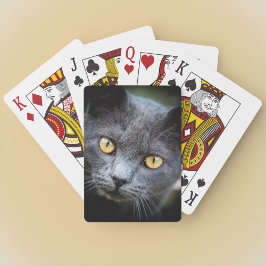 Baraja De Cartas Num-Num el gato del barrio