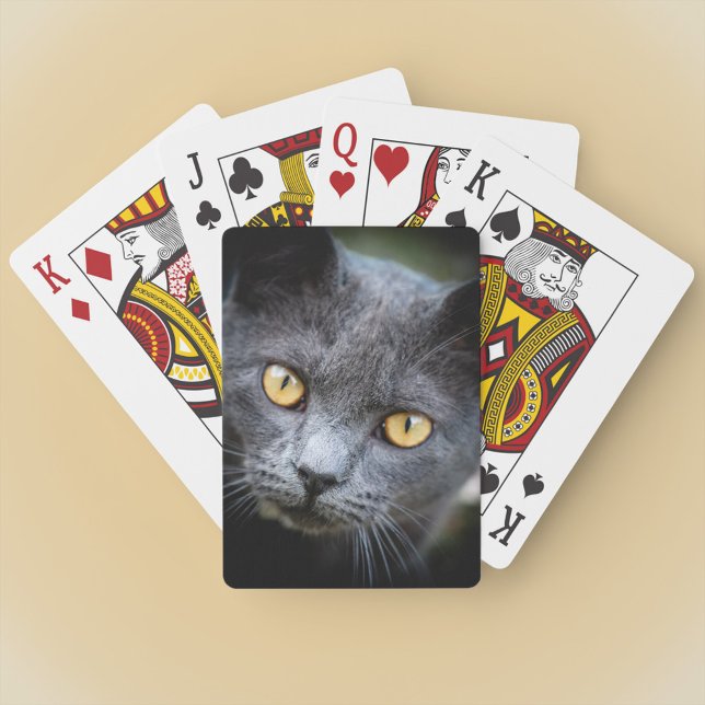 Baraja De Cartas Num-Num el gato del barrio (Subido por el creador)
