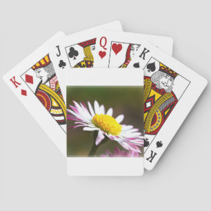 Baraja De Cartas nupcial romántico romántico de los pétalos