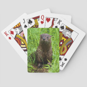 Baraja De Cartas Nutria de río lista