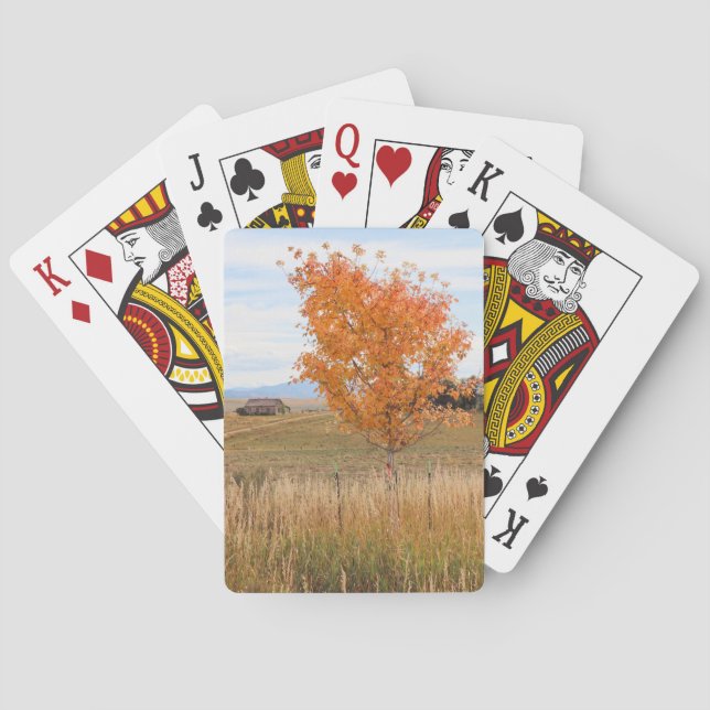 Baraja De Cartas Octubre Brillante  (Reverso)