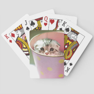 Baraja De Cartas Ocultación del gatito