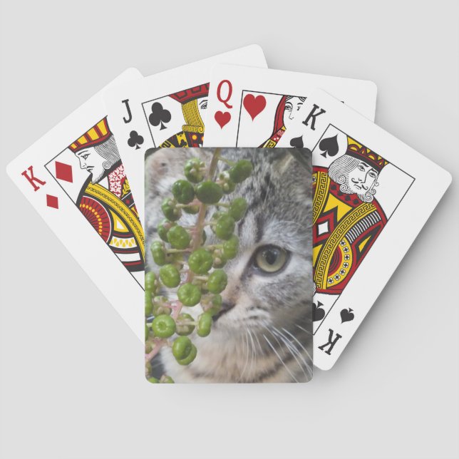 Baraja De Cartas Ocultando gatito (Reverso)