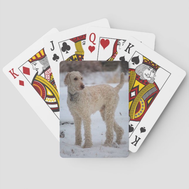 Baraja De Cartas Ollie (Reverso)