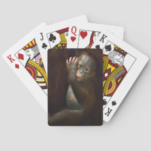 Baraja De Cartas Orangutan