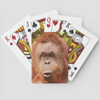 Baraja De Cartas Orangután cutáneo