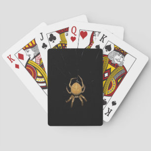 Baraja De Cartas Orb Weaver Spider