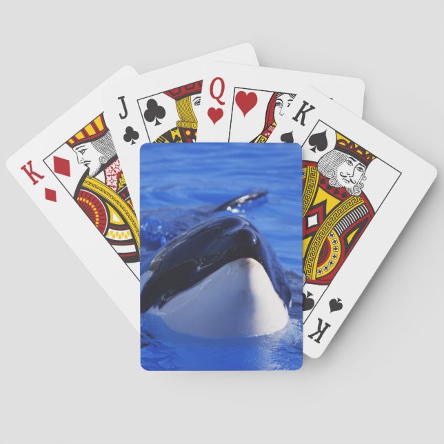 Baraja De Cartas Orca de la orca (Reverso)