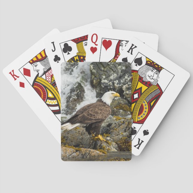 Baraja De Cartas Orgulloso Bald Eagle (Reverso)