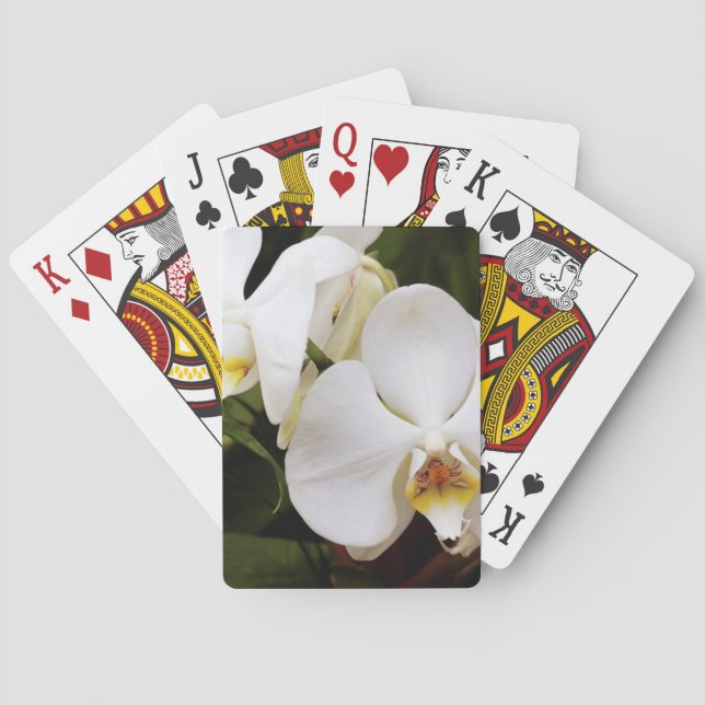 Baraja De Cartas Orquídea Blanca de la Luna (Afrodita de Falenopsis (Reverso)