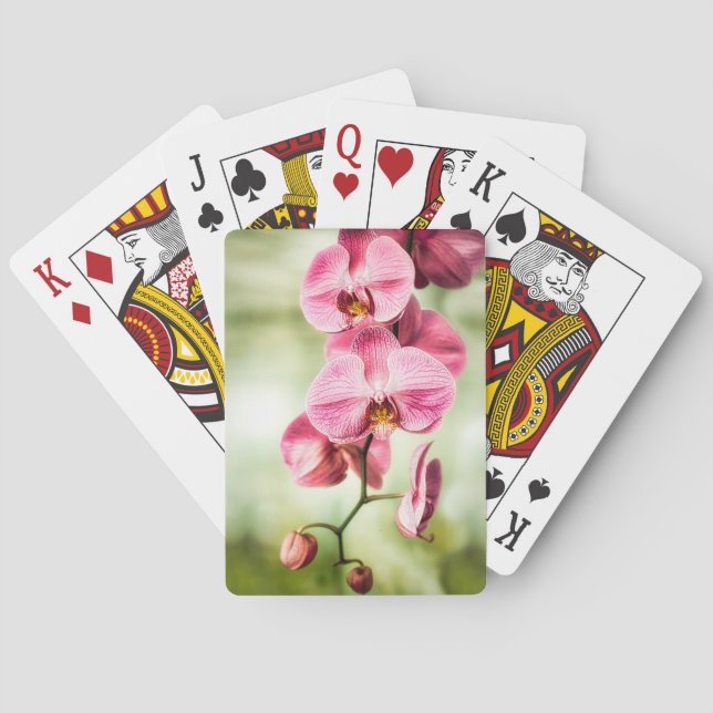 Baraja De Cartas Orquídea rosa (Reverso)