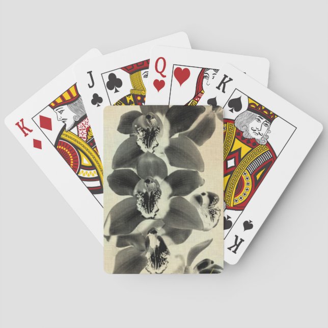 Baraja De Cartas Orquídeas Rubor Paneles IV (Reverso)