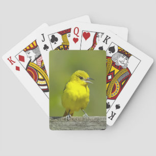 Baraja De Cartas Ortolano Oriol - Fotografía Original