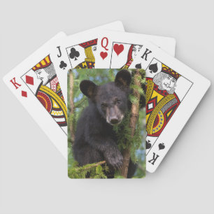 Baraja De Cartas Osezno de oso negro jugando en árboles