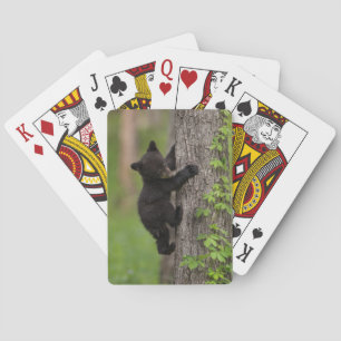 Baraja De Cartas Osezno de oso negro subiendo a un árbol