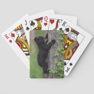 Baraja De Cartas Osezno subiendo a un árbol