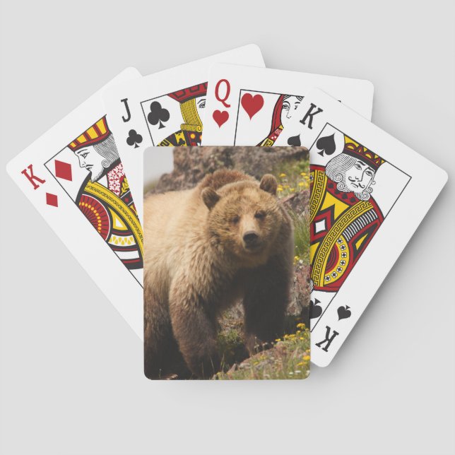 Baraja De Cartas osito (Reverso)