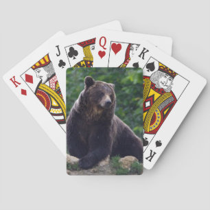 Baraja De Cartas Oso de Brown