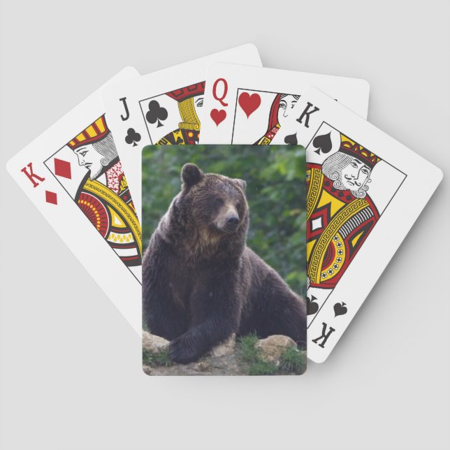 Baraja De Cartas Oso de Brown (Reverso)
