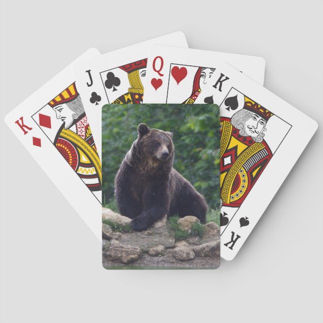Baraja De Cartas Oso de Brown (Reverso)