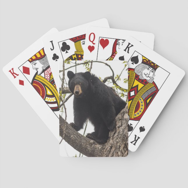 Baraja De Cartas Oso negro que sube (Reverso)