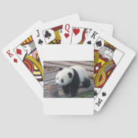 oso panda osos personalizar Aniversarios