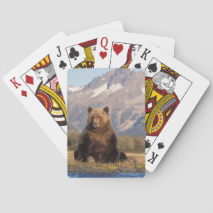Baraja De Cartas oso pardo, Ursus arctos, oso pardo, Ursus