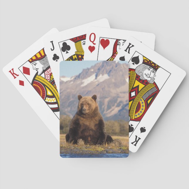Baraja De Cartas oso pardo, Ursus arctos, oso pardo, Ursus (Reverso)