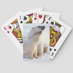 Baraja De Cartas Oso polar cerda con cachorro, empaque