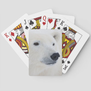 Baraja De Cartas Oso polar Churchill